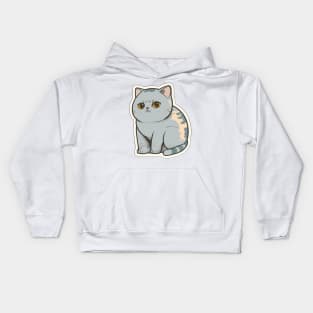 Charming British Short Hair Cat Sticker Kids Hoodie